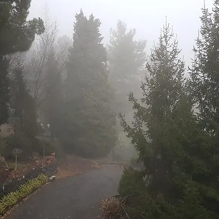 Villa Feudo Algerazzi